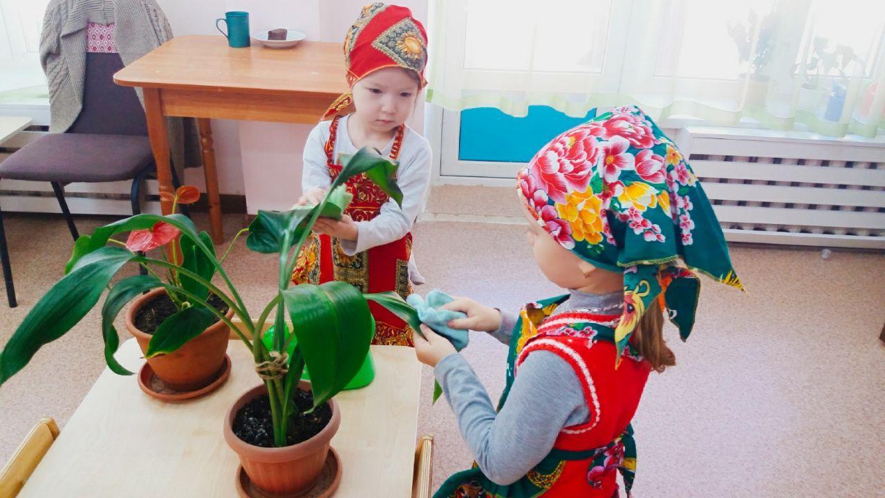 Уход за растениями в уголке природы