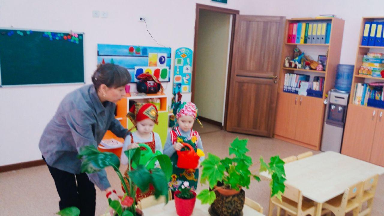 Уход за растениями в уголке природы